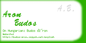 aron budos business card